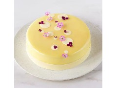 具有多重口感的柚子開心果草莓慕斯，清爽不膩！