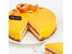 果香十足的杏桃蛋糕，酸酸甜甜！